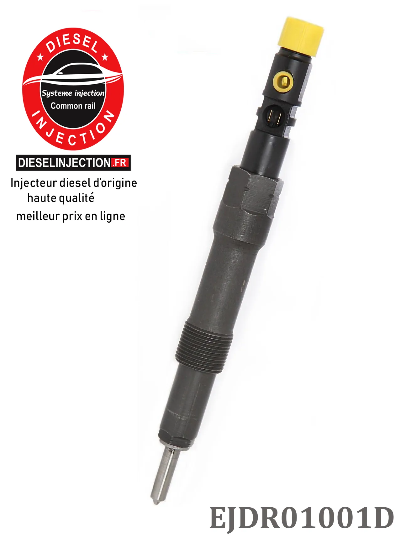 Injecteur Delphi EJDR01001D EJDR00201ZEJDR01001D - EJDR00201E