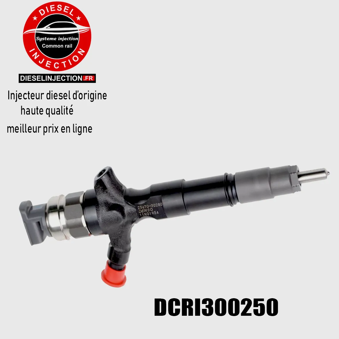 Injecteur DENSO DCRI300250DCRI300250
