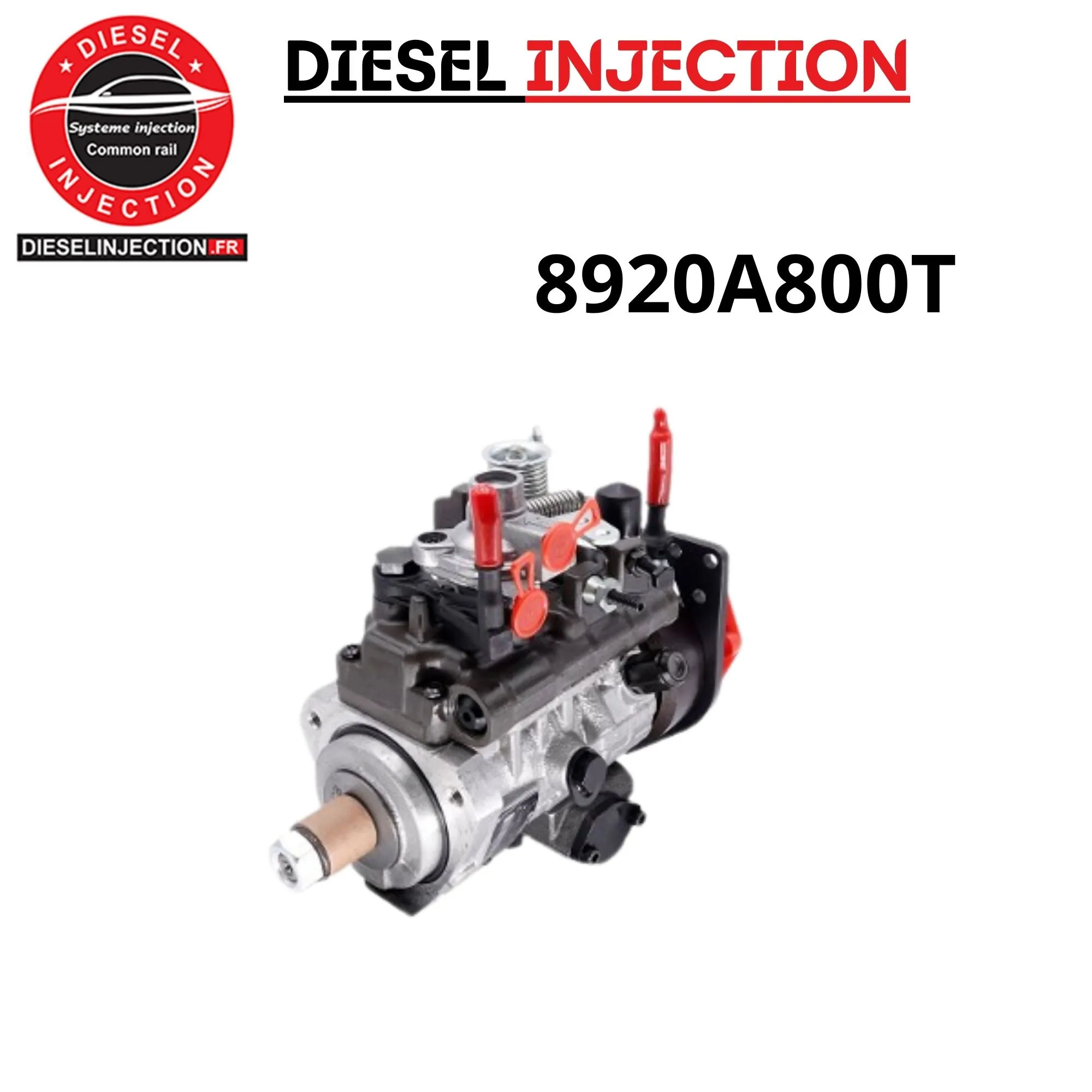 Pompe à injection DELPHI 8920A800T