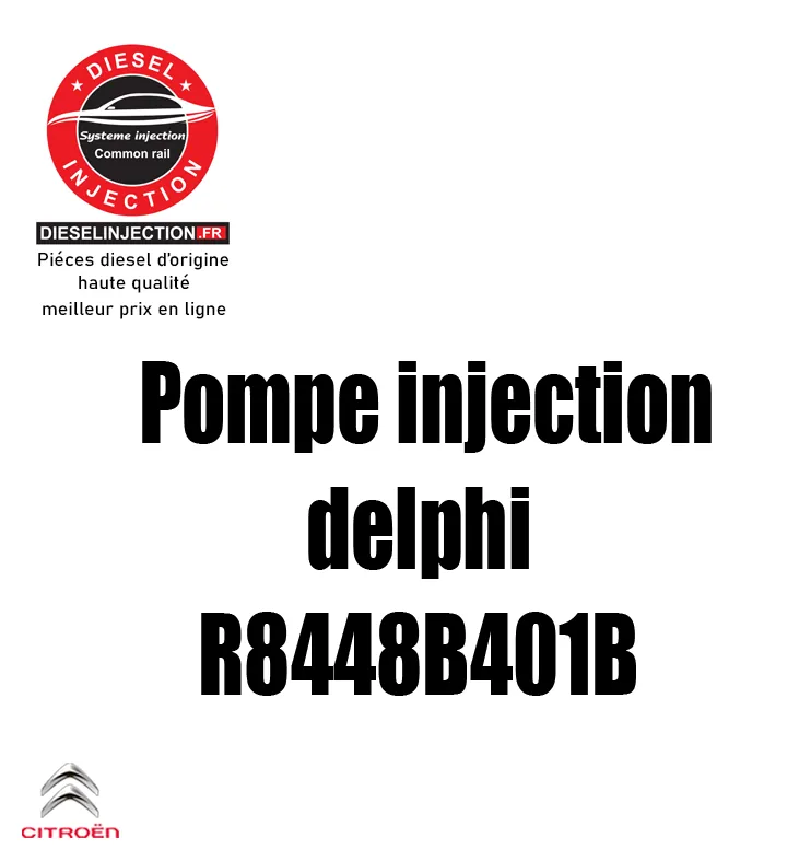 Pompe à haute pression DELPHI R8448B402CR8448B402C