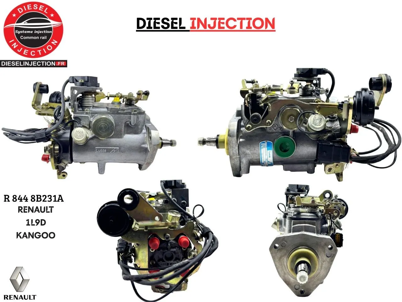 Pompe à injection RENAULT KANGO 1L9D R8448B361B Réparation DELPHI