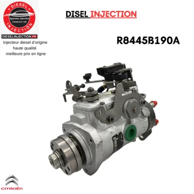 Pompe Injection R8445B190A R8445B191B Delphi Citroen Saxo 1,5 D (Type TUD5)R8445B190A R8445B191B R8448B182B R8448B391A