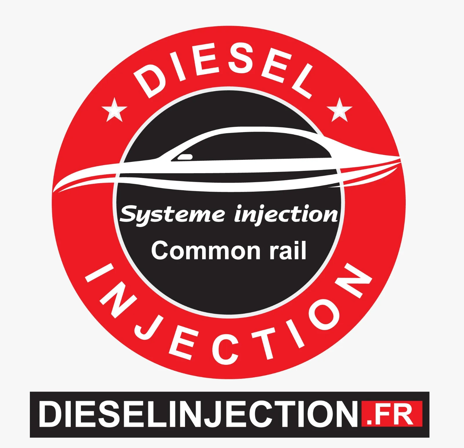 Injecteur DELPHI 7516846 400903-00043 E